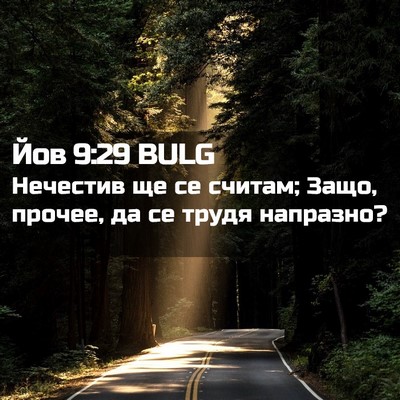 Picture 02 - Йов 9:29 BULG - Нечестив ще се считам; - Bible Verse Picture