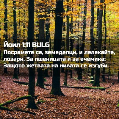 Picture 02 - Йоил 1:11 BULG - Посрамете се, земеделци, и - Bible Verse Picture
