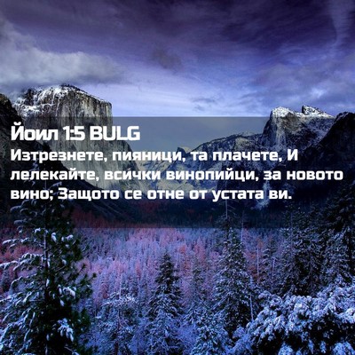 Picture 02 - Йоил 1:5 BULG - Изтрезнете, пияници, та - Bible Verse Picture