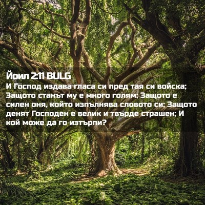 Picture 02 - Йоил 2:11 BULG - И Господ издава гласа си - Bible Verse Picture