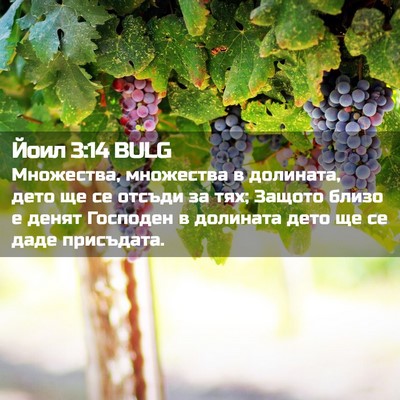 Picture 02 - Йоил 3:14 BULG - Множества, множества в - Bible Verse Picture