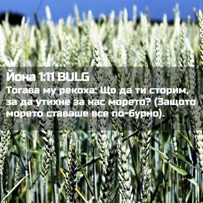 Picture 02 - Йона 1:11 BULG - Тогава му рекоха: Що да ти - Bible Verse Picture