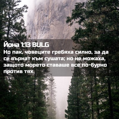 Picture 02 - Йона 1:13 BULG - Но пак, човеците гребяха - Bible Verse Picture