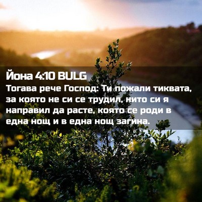 Picture 02 - Йона 4:10 BULG - Тогава рече Господ: Ти - Bible Verse Picture