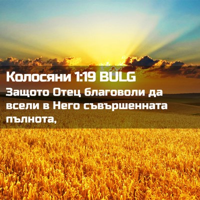 Picture 02 - Колосяни 1:19 BULG - Защото Отец благоволи да - Bible Verse Picture