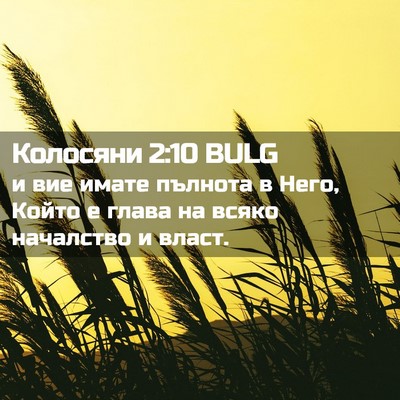Picture 02 - Колосяни 2:10 BULG - и вие имате пълнота в Него, - Bible Verse Picture