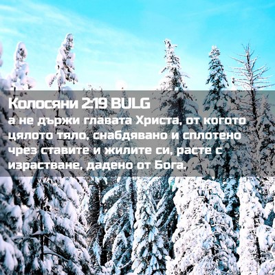 Picture 02 - Колосяни 2:19 BULG - а не държи главата Христа, - Bible Verse Picture
