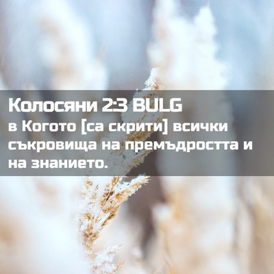 Picture 02 - Колосяни 2:3 BULG - в Когото [са скрити] всички - Bible Verse Picture