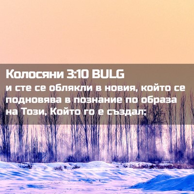 Picture 02 - Колосяни 3:10 BULG - и сте се облякли в новия, - Bible Verse Picture