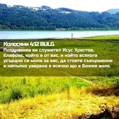 Picture 02 - Колосяни 4:12 BULG - Поздравява ви служител - Bible Verse Picture