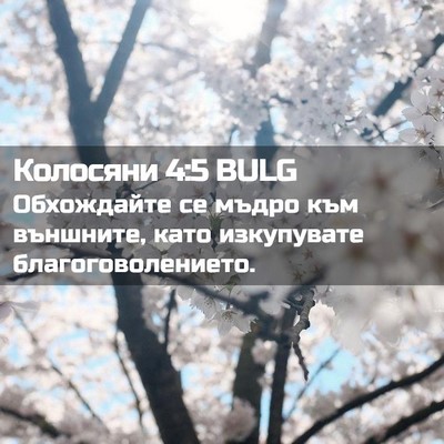 Picture 02 - Колосяни 4:5 BULG - Обхождайте се мъдро към - Bible Verse Picture