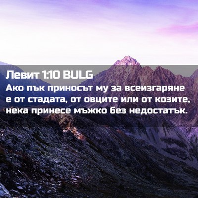 Picture 02 - Левит 1:10 BULG - Ако пък приносът му за - Bible Verse Picture