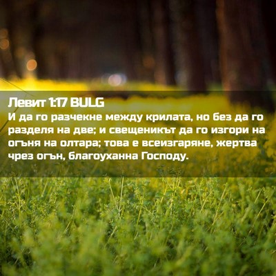 Picture 02 - Левит 1:17 BULG - И да го разчекне между - Bible Verse Picture