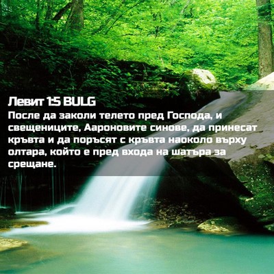 Picture 02 - Левит 1:5 BULG - После да заколи телето - Bible Verse Picture