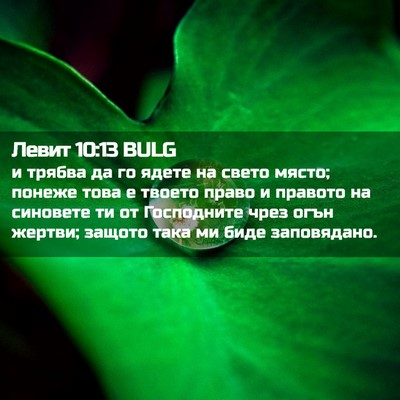 Picture 02 - Левит 10:13 BULG - и трябва да го ядете на - Bible Verse Picture