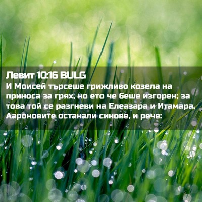 Picture 02 - Левит 10:16 BULG - И Моисей търсеше грижливо - Bible Verse Picture