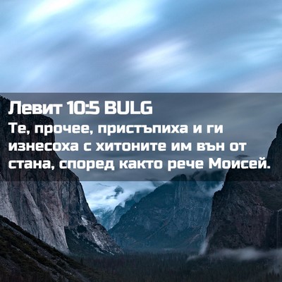 Picture 02 - Левит 10:5 BULG - Те, прочее, пристъпиха и ги - Bible Verse Picture