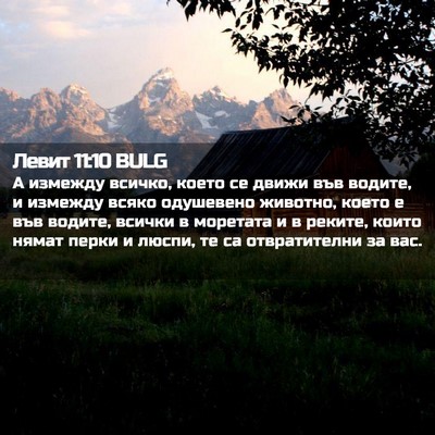 Picture 02 - Левит 11:10 BULG - А измежду всичко, което се - Bible Verse Picture