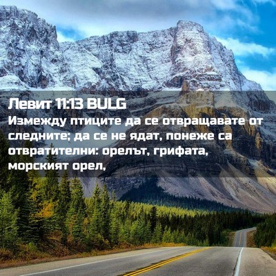 Picture 02 - Левит 11:13 BULG - Измежду птиците да се - Bible Verse Picture