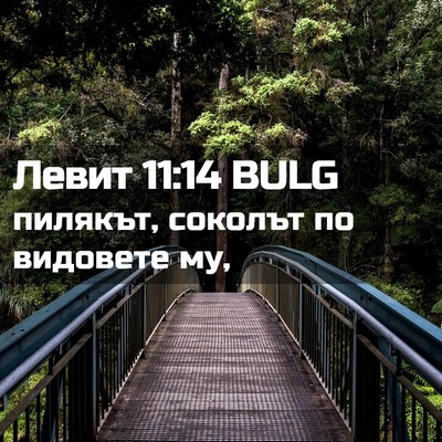 Picture 02 - Левит 11:14 BULG - пилякът, соколът по - Bible Verse Picture