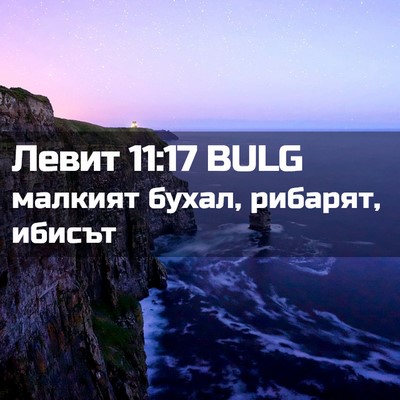 Picture 02 - Левит 11:17 BULG - малкият бухал, рибарят, - Bible Verse Picture
