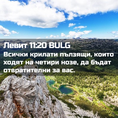Picture 02 - Левит 11:20 BULG - Всички крилати пълзящи, - Bible Verse Picture