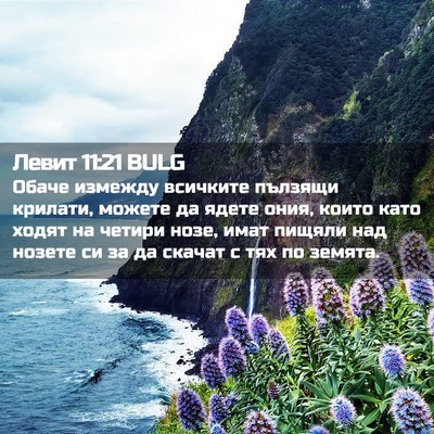 Picture 02 - Левит 11:21 BULG - Обаче измежду всичките - Bible Verse Picture