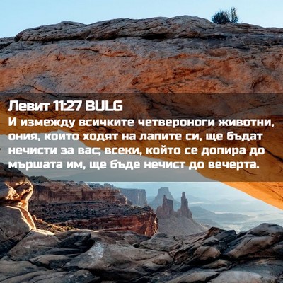 Picture 02 - Левит 11:27 BULG - И измежду всичките - Bible Verse Picture