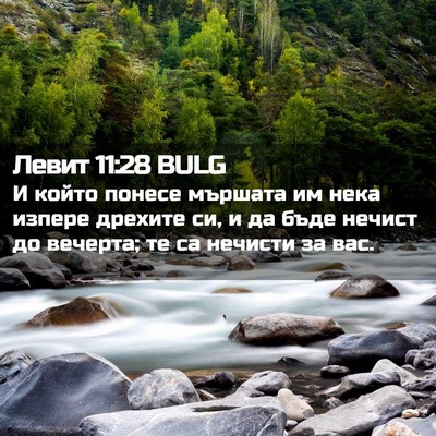 Picture 02 - Левит 11:28 BULG - И който понесе мършата им - Bible Verse Picture