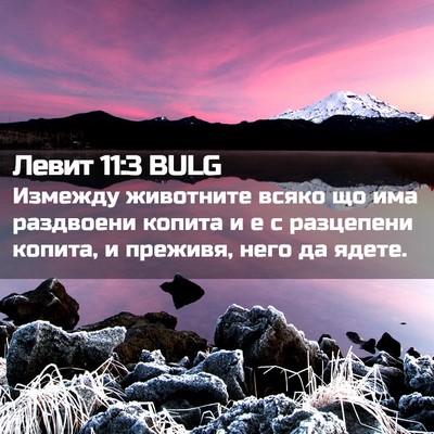 Picture 02 - Левит 11:3 BULG - Измежду животните всяко що - Bible Verse Picture