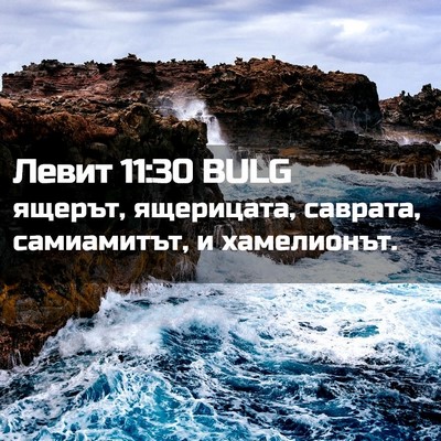 Picture 02 - Левит 11:30 BULG - ящерът, ящерицата, саврата, - Bible Verse Picture