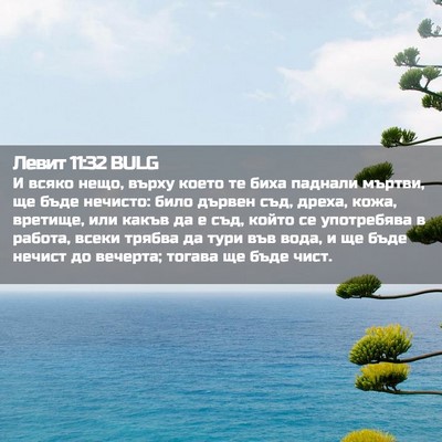 Picture 02 - Левит 11:32 BULG - И всяко нещо, върху което - Bible Verse Picture