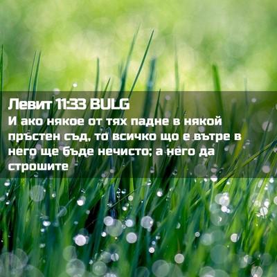 Picture 02 - Левит 11:33 BULG - И ако някое от тях падне в - Bible Verse Picture
