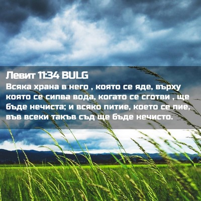 Picture 02 - Левит 11:34 BULG - Всяка храна в него , която - Bible Verse Picture