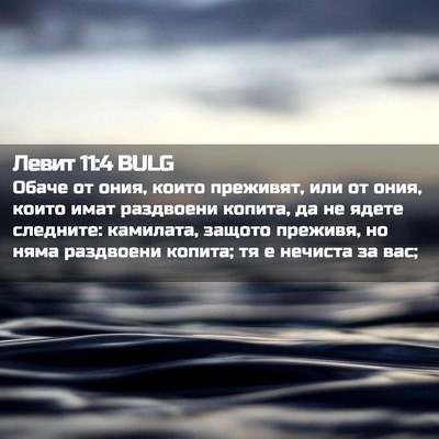 Picture 02 - Левит 11:4 BULG - Обаче от ония, които - Bible Verse Picture
