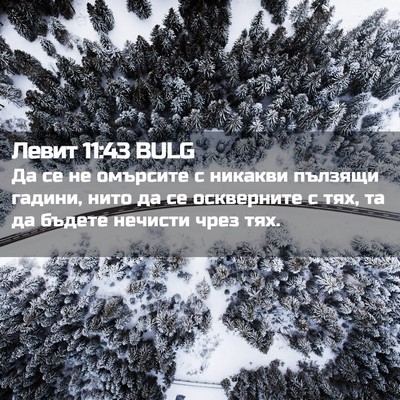 Picture 02 - Левит 11:43 BULG - Да се не омърсите с никакви - Bible Verse Picture