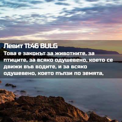 Picture 02 - Левит 11:46 BULG - Това е законът за - Bible Verse Picture