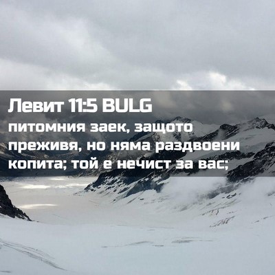 Picture 02 - Левит 11:5 BULG - питомния заек, защото - Bible Verse Picture