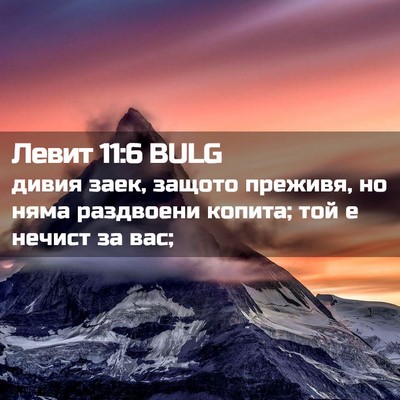 Picture 02 - Левит 11:6 BULG - дивия заек, защото преживя, - Bible Verse Picture