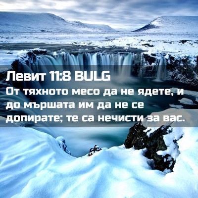 Picture 02 - Левит 11:8 BULG - От тяхното месо да не - Bible Verse Picture