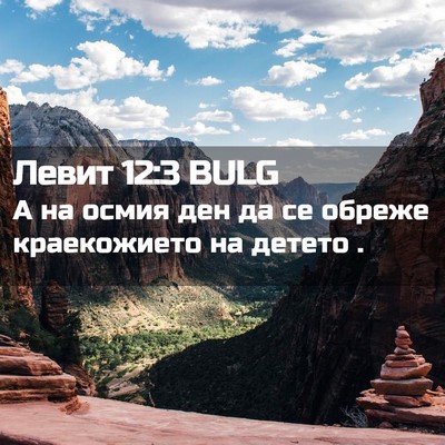 Picture 02 - Левит 12:3 BULG - А на осмия ден да се обреже - Bible Verse Picture