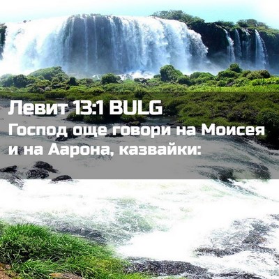 Picture 02 - Левит 13:1 BULG - Господ още говори на - Bible Verse Picture