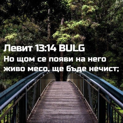 Picture 02 - Левит 13:14 BULG - Но щом се появи на него - Bible Verse Picture