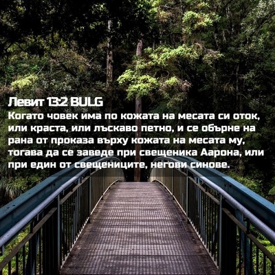 Picture 02 - Левит 13:2 BULG - Когато човек има по кожата - Bible Verse Picture