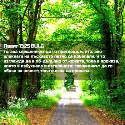 Picture 02 - Левит 13:25 BULG - тогава свещеникът да го - Bible Verse Picture