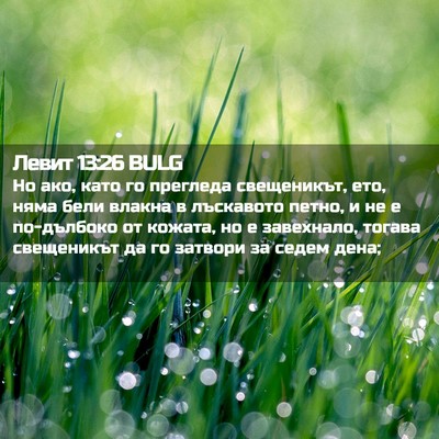 Picture 02 - Левит 13:26 BULG - Но ако, като го прегледа - Bible Verse Picture