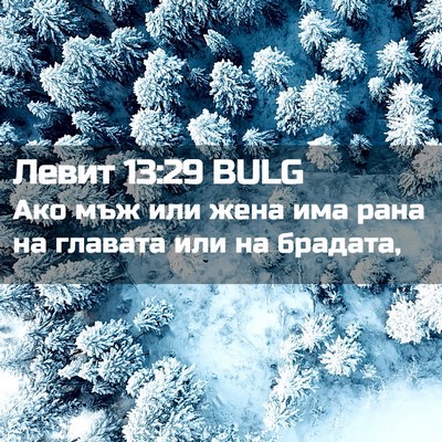 Picture 02 - Левит 13:29 BULG - Ако мъж или жена има рана - Bible Verse Picture