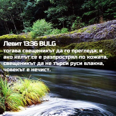 Picture 02 - Левит 13:36 BULG - тогава свещеникът да го - Bible Verse Picture