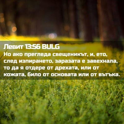 Picture 02 - Левит 13:56 BULG - Но ако прегледа - Bible Verse Picture