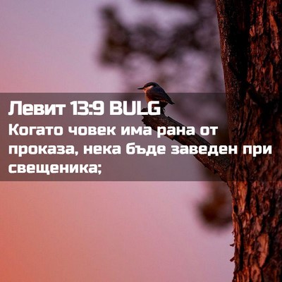 Picture 02 - Левит 13:9 BULG - Когато човек има рана от - Bible Verse Picture